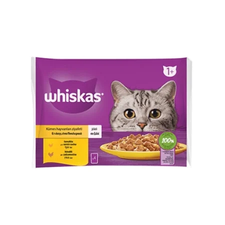(ویسکاس) پک 4 عددی سوپ گربه بالغ با طعم مرغ و بوقلمون در ژله 85 گرمی